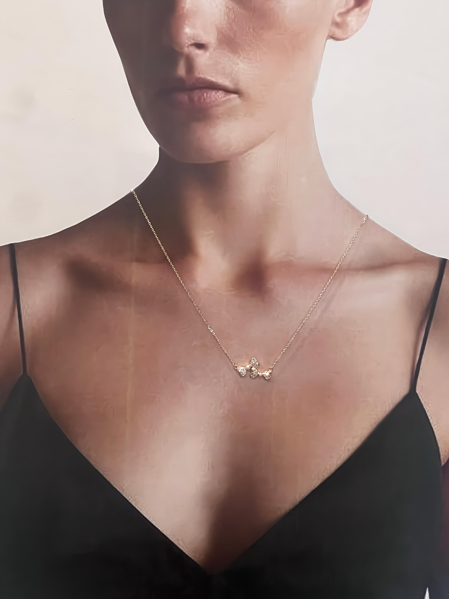 Conjunto Moño