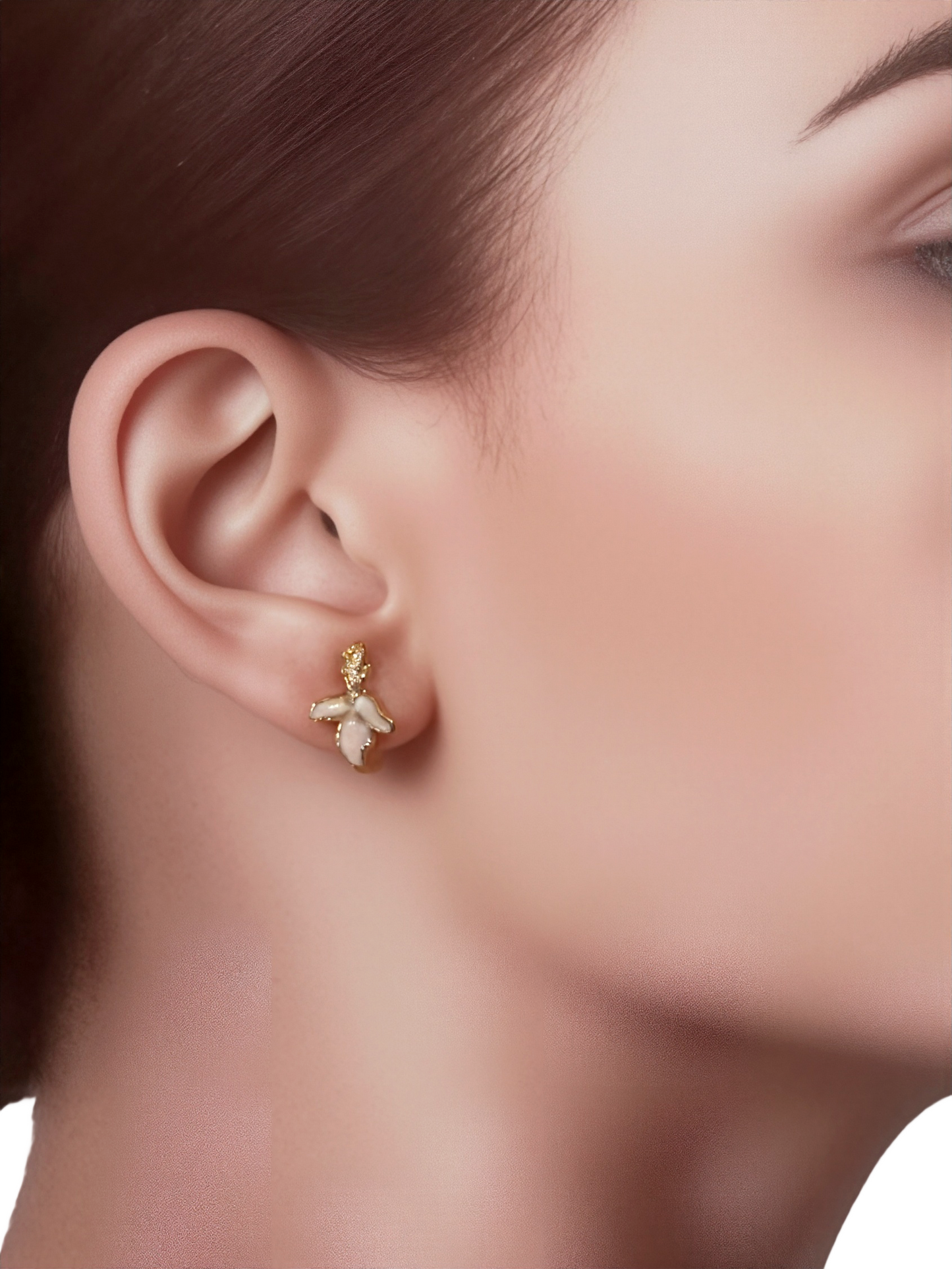 Conjunto Encanto de Magnolia