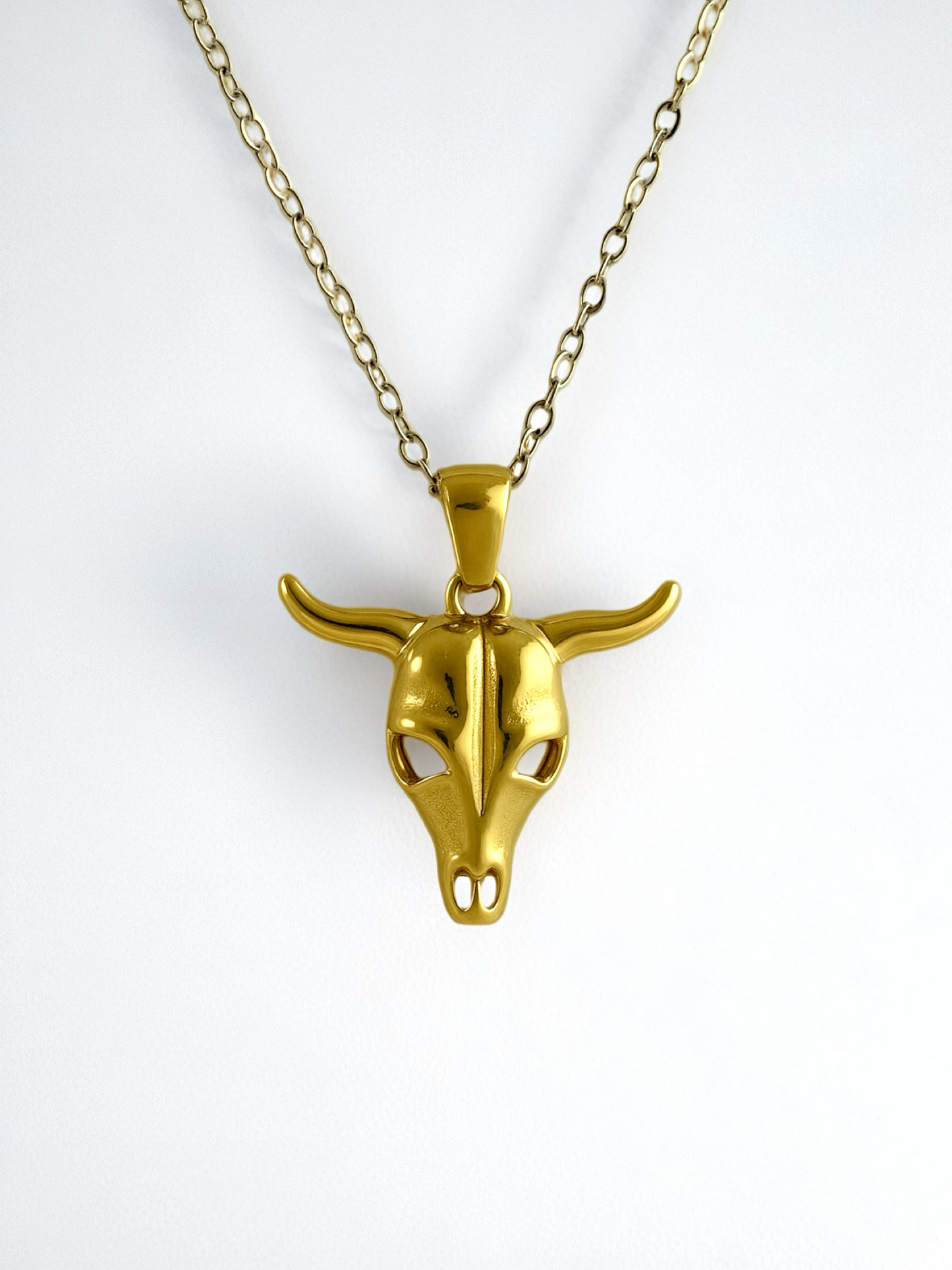 Collar Toro
