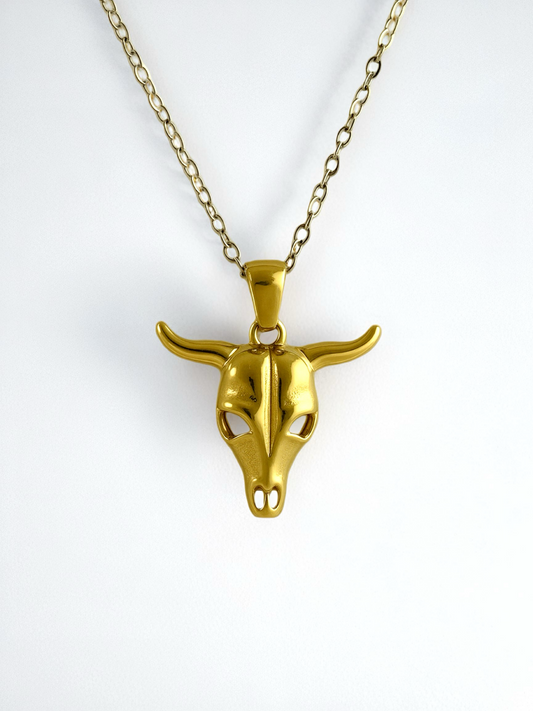 Collar Toro