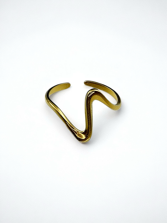 Anillo V