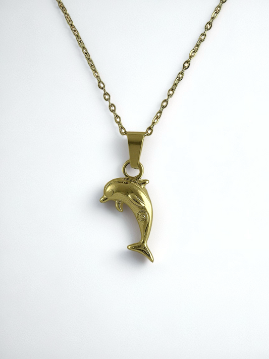 Collar Delfín
