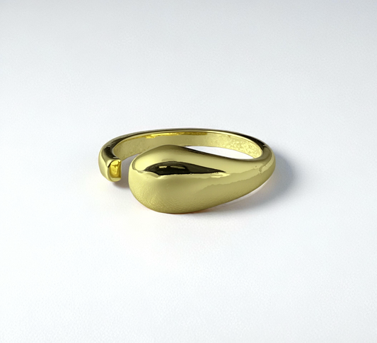 Anillo Duna